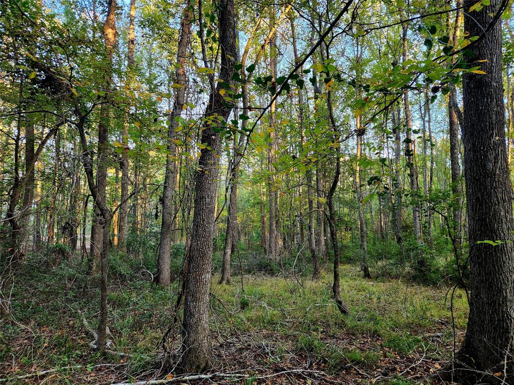 Safari Waters Ranch - Land