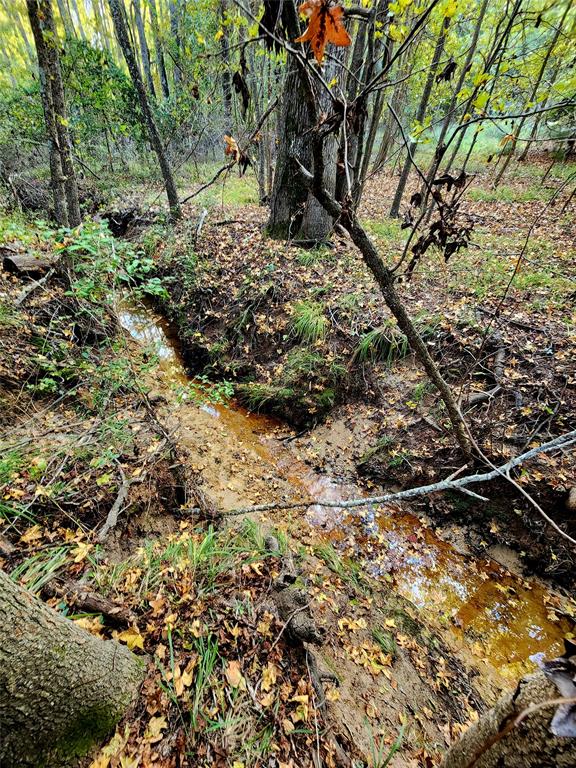 Safari Waters Ranch - Land