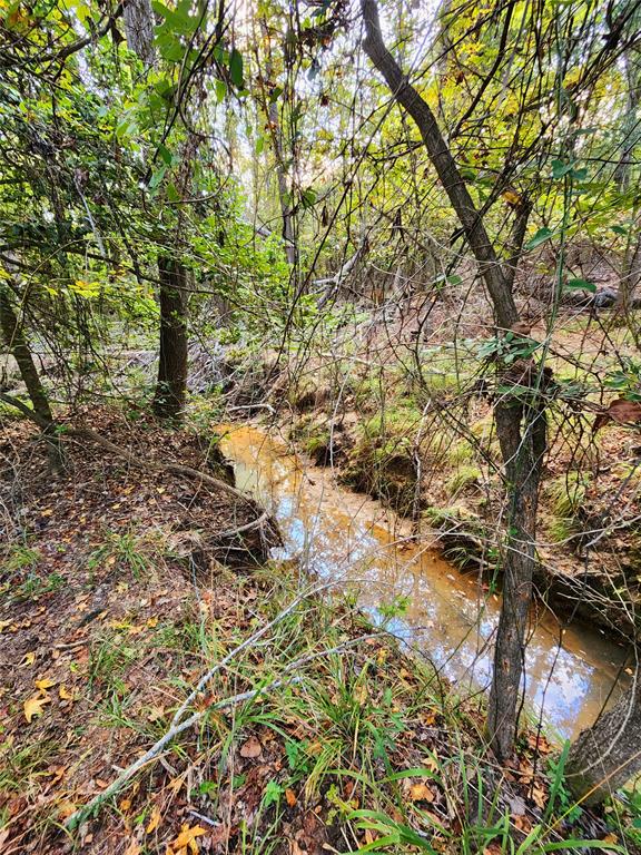 Safari Waters Ranch - Land