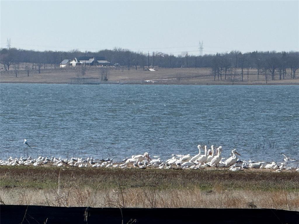 The Peninsula - Land