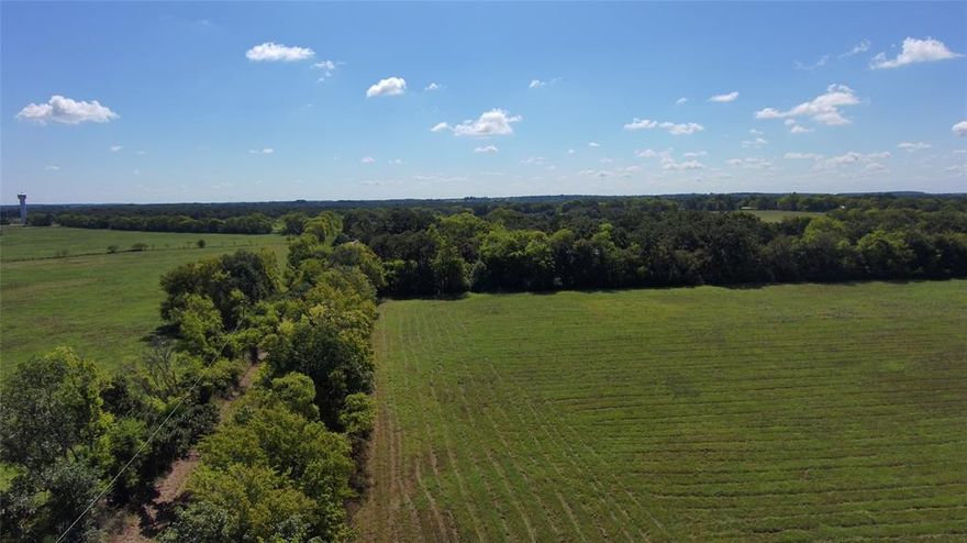 Unlock the potential of this remarkable 10.14-acre parcel in Canton, TX, perfectly suited for a housing subdivision, commercial development, or your personal dream home. Located just outside city limits, this property offers an unrivaled position near the future Canton High School and state-of-the-art sports facilities, with easy access to downtown Canton.  Dual road access ensures high visibility and convenience with road frontage and entrances on HWY 243 and VZ County Road 2102.
This property is a rare gem, offering endless possibilities in one of Canton's most sought-after locations. Whether you're a developer envisioning a new community or commercial venture, or an individual dreaming of a private retreat, this land is the perfect canvas.