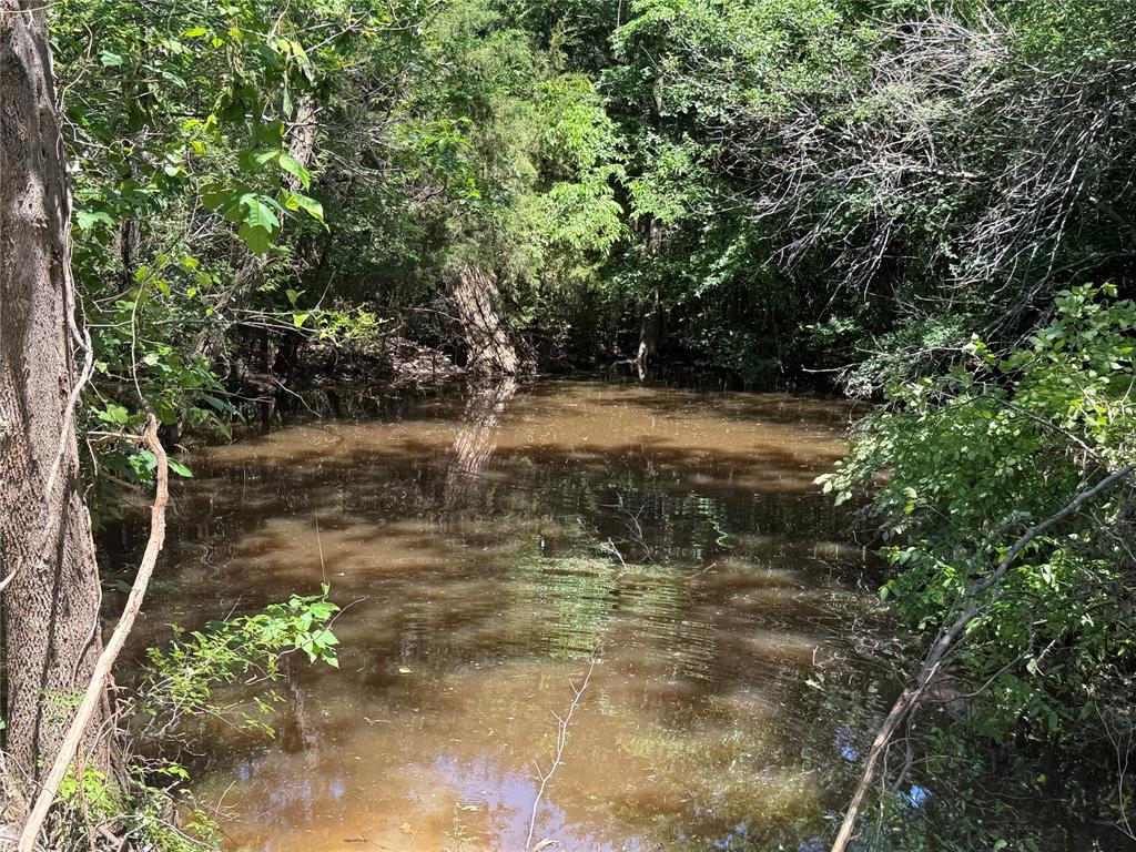 Shamrock Park 4 - Residential