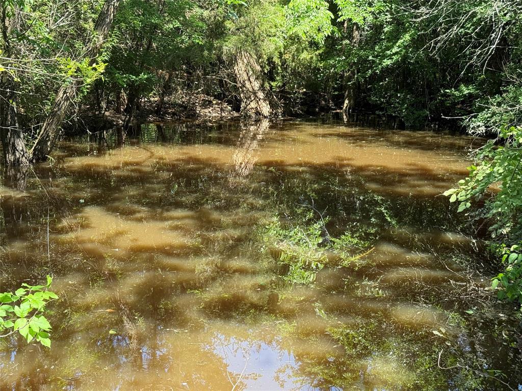 Shamrock Park 4 - Residential