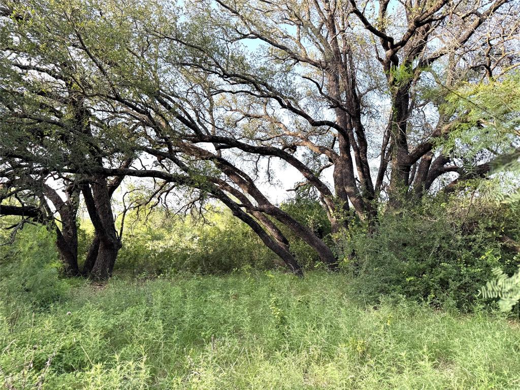 39 J W Bowers - Land