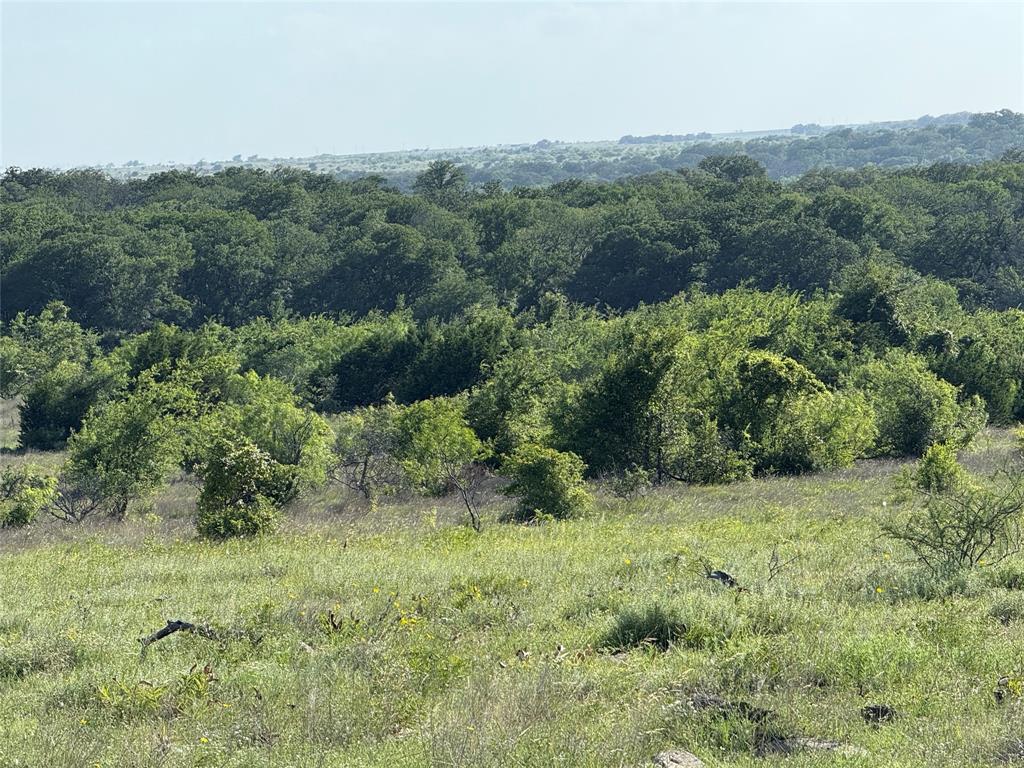 TBD FM 2486 & CR 620