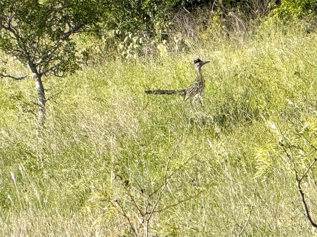 39 J W Bowers - Land