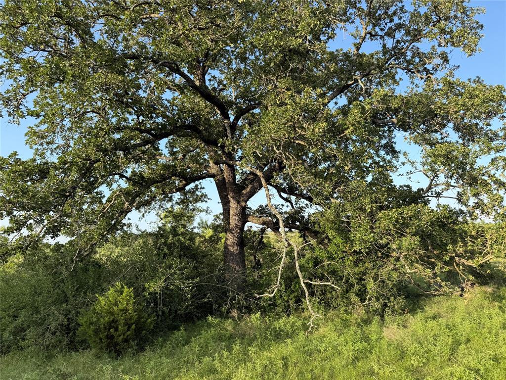 39 J W Bowers - Land