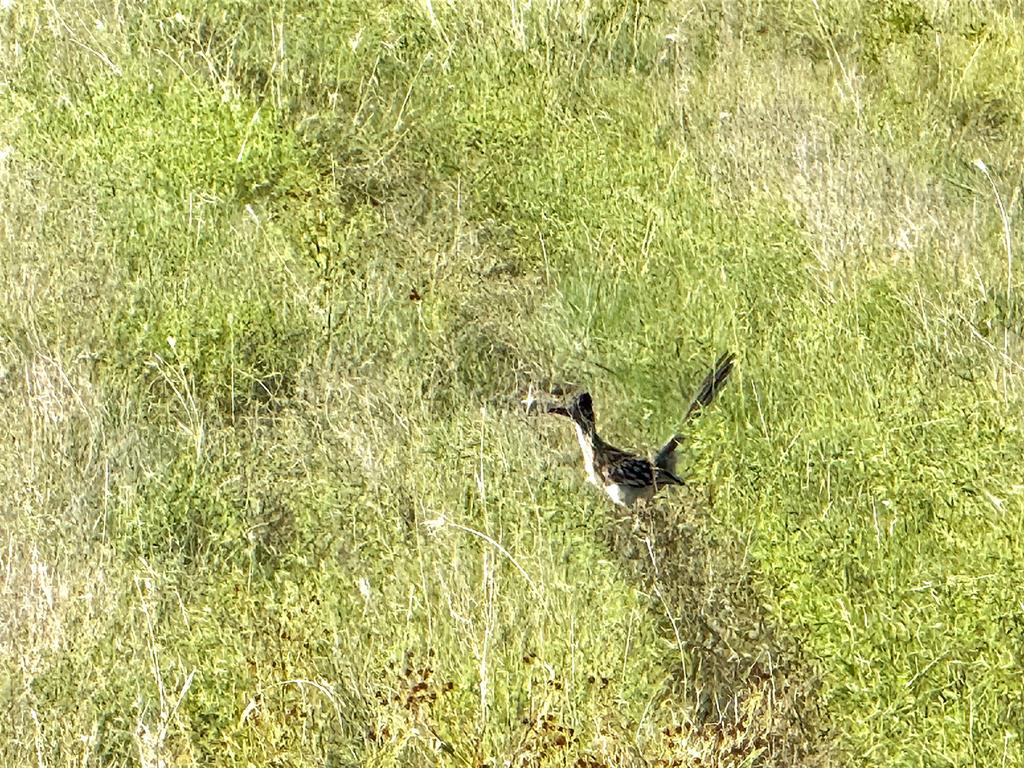 39 J W Bowers - Land