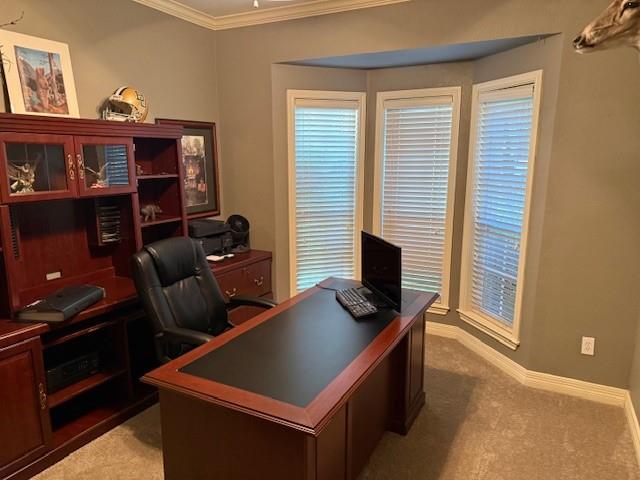 village at Camden Court - Residential