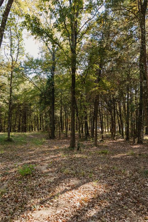 Heavenly Acres - Land