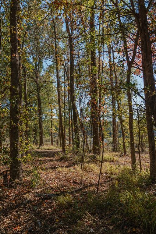 Lot 16 Private Road 5948