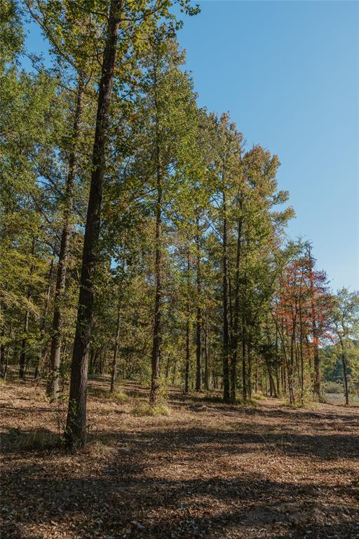 Lot 16 Private Road 5948