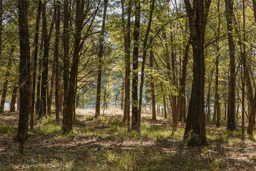 Heavenly Acres - Land