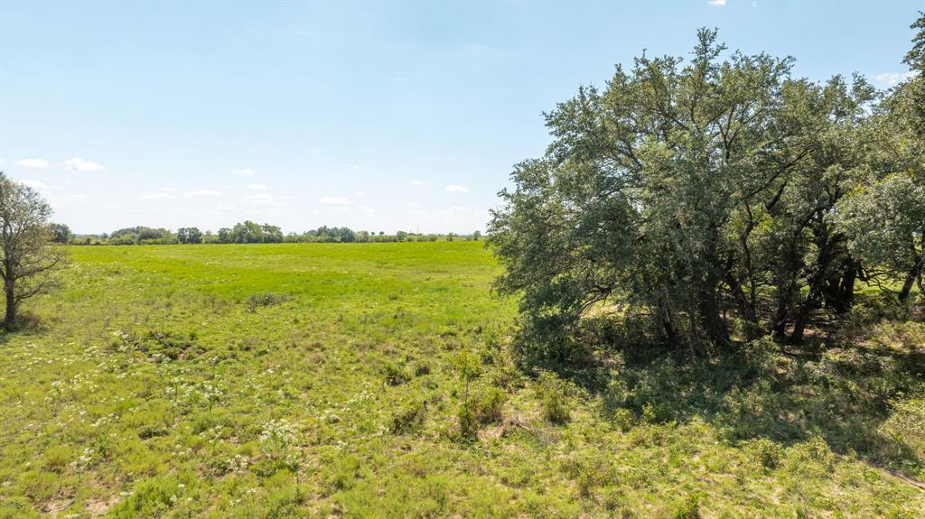 Sion Blythe Surv Abs #40 - Land