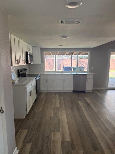 1109 Sleepy Hollow Drive