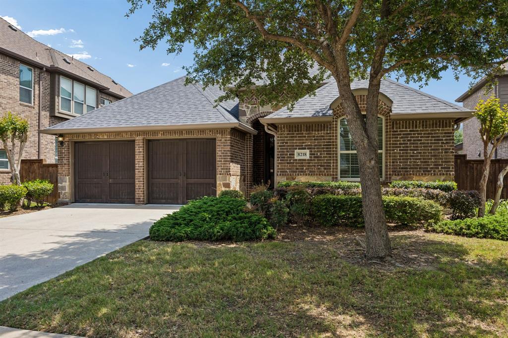 8218 Haltered Horse Lane
