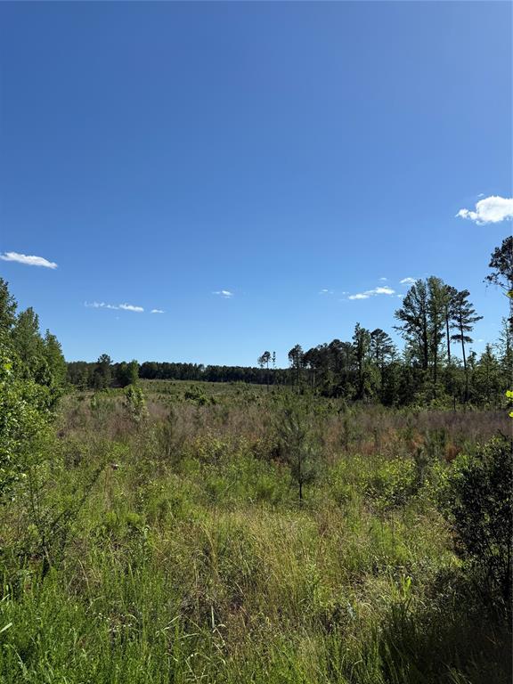 0 Fire Tower Road