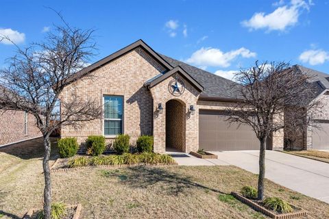 Photo of 709 Maverick Street, Anna, TX 75409 (MLS # 21189805)