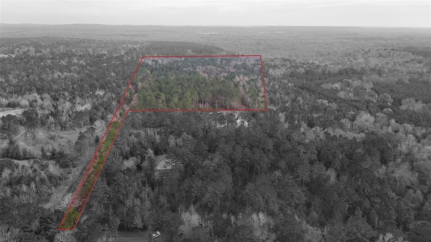 Beautiful 18-acre wooded tract in the desirable Palestine-Neches area. This property offers mature hardwoods, natural privacy, and multiple potential sites for a homesite, cabin, or recreational retreat. The land’s natural layout also makes it ideal for hunting, camping, or creating a private getaway.

Utility improvements are currently progressing throughout the area, increasing long-term value and future development possibilities. Whether you're looking for a peaceful spot to build or a versatile acreage for recreation and investment, this tract delivers exceptional opportunity. Convenient location with easy access to Palestine and nearby communities.