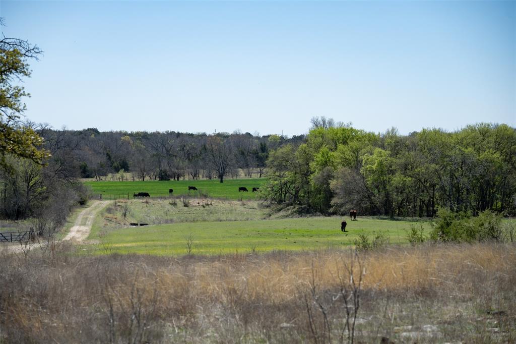 Cherylton Ridge - Farm