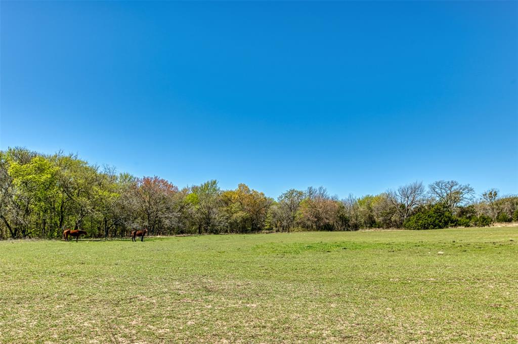 Cherylton Ridge - Farm