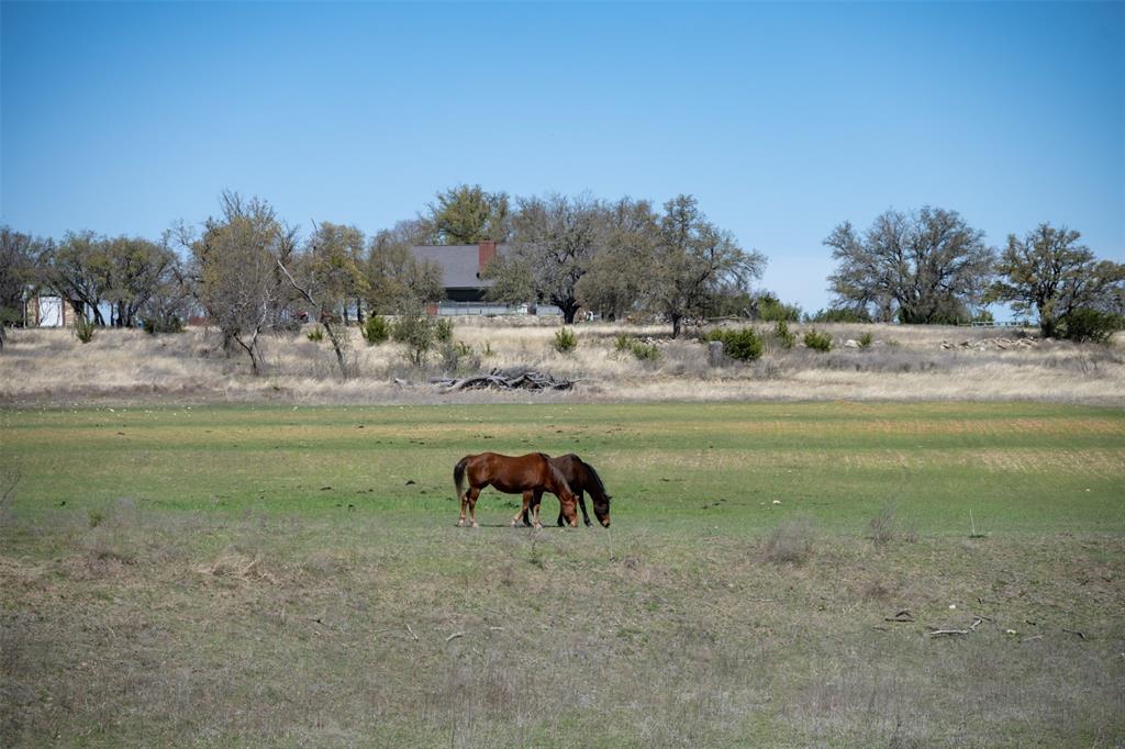 Cherylton Ridge - Farm