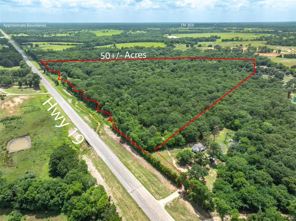 TBD Tx-19