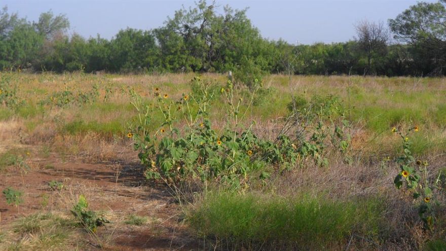 FM 1750 road frontage. Good location for commercial or housing addition in Wylie Schools. This property is in two tracts.