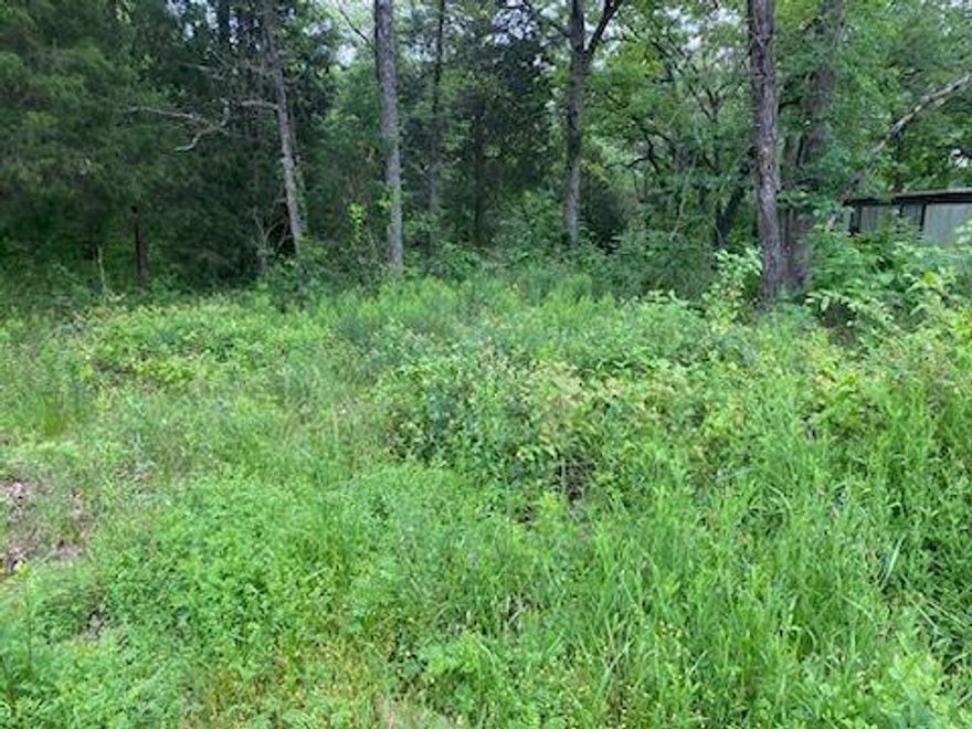 Discover serenity on this secluded, wooded waterfront lot nestled along a quiet channel of Cedar Creek Lake. Ideal for your lake retreat, imagine lazy mornings by the water and enchanting evenings under starlit skies. Come take a look today!