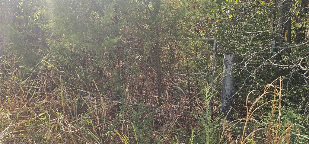 Arnold M M Add - Land