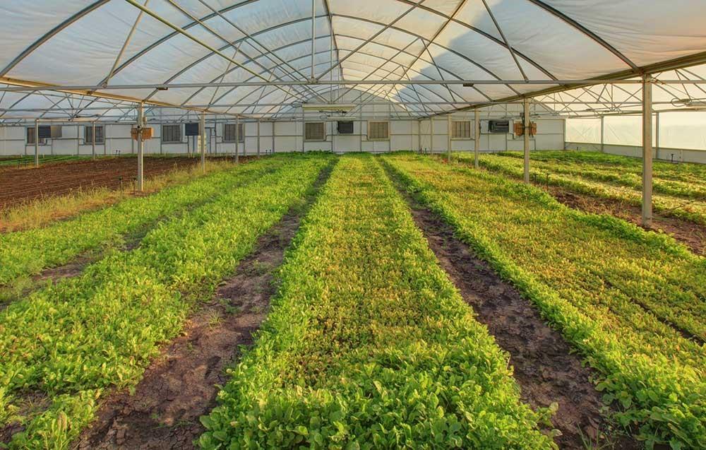 Harvest - Residential