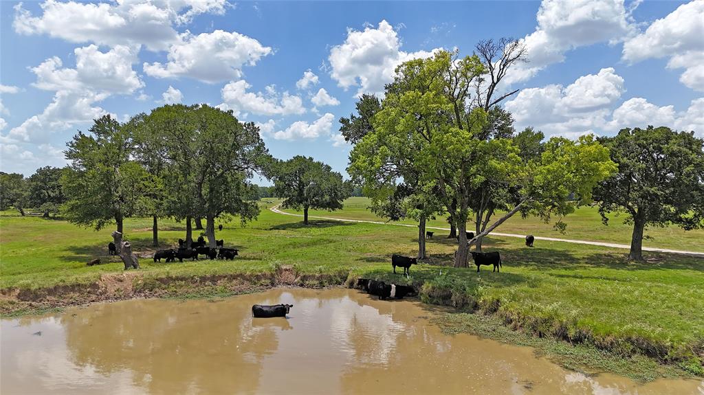 G Epperson Surv Abst #246 - Farm