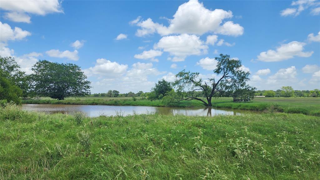 G Epperson Surv Abst #246 - Farm