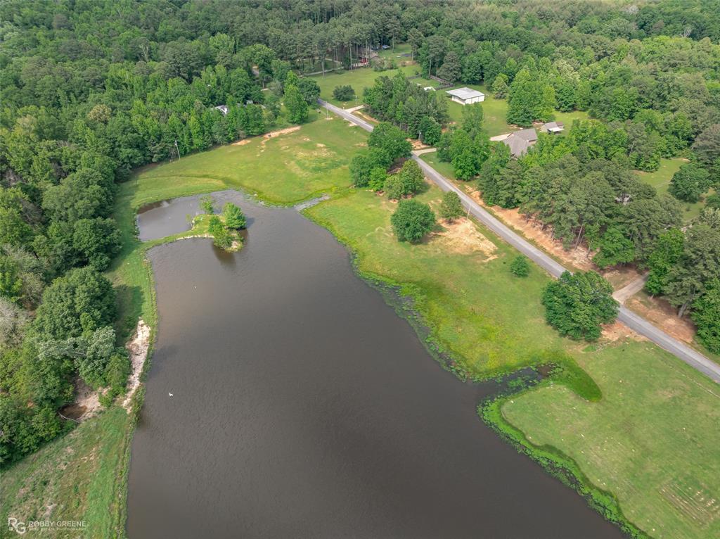 Silver Forest 01 - Land