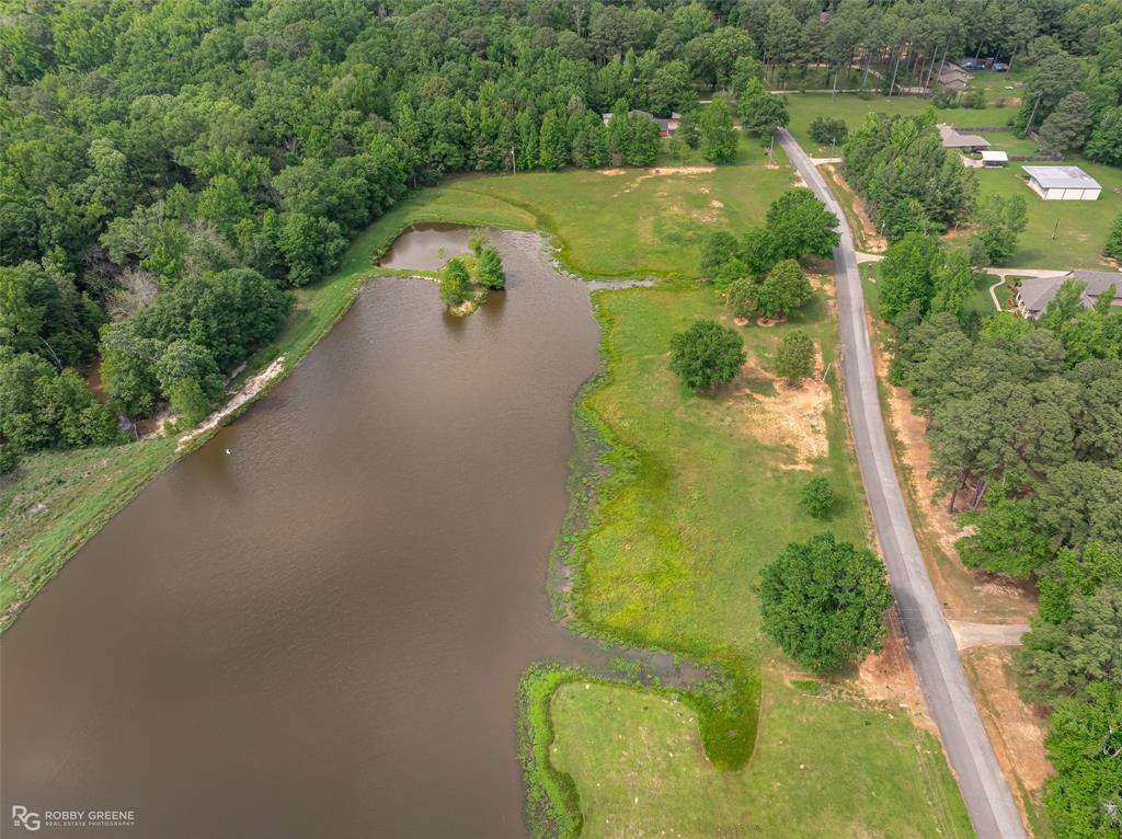 Silver Forest 01 - Land