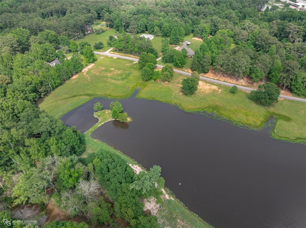 Silver Forest 01 - Land