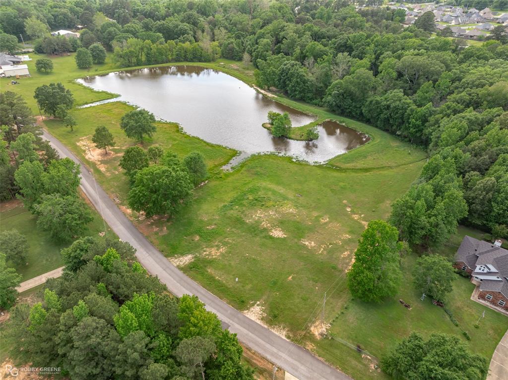 Silver Forest 01 - Land