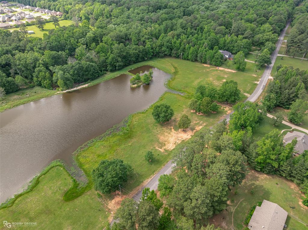 Silver Forest 01 - Land