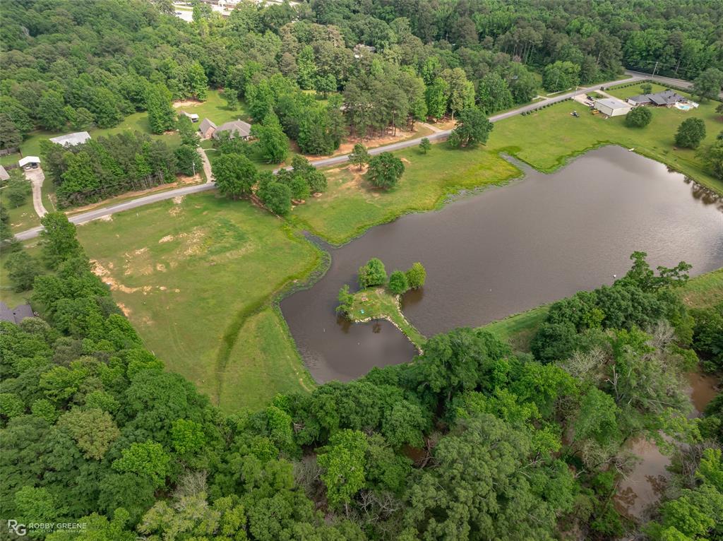 Silver Forest 01 - Land