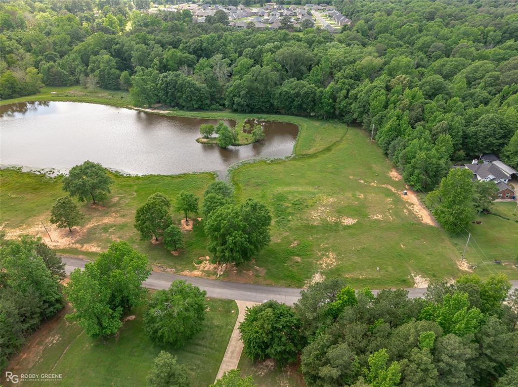 Silver Forest 01 - Land