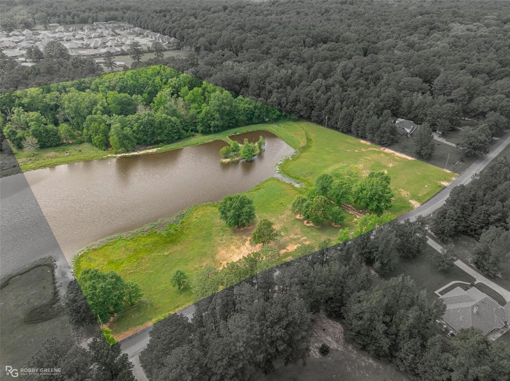 Silver Forest 01 - Land