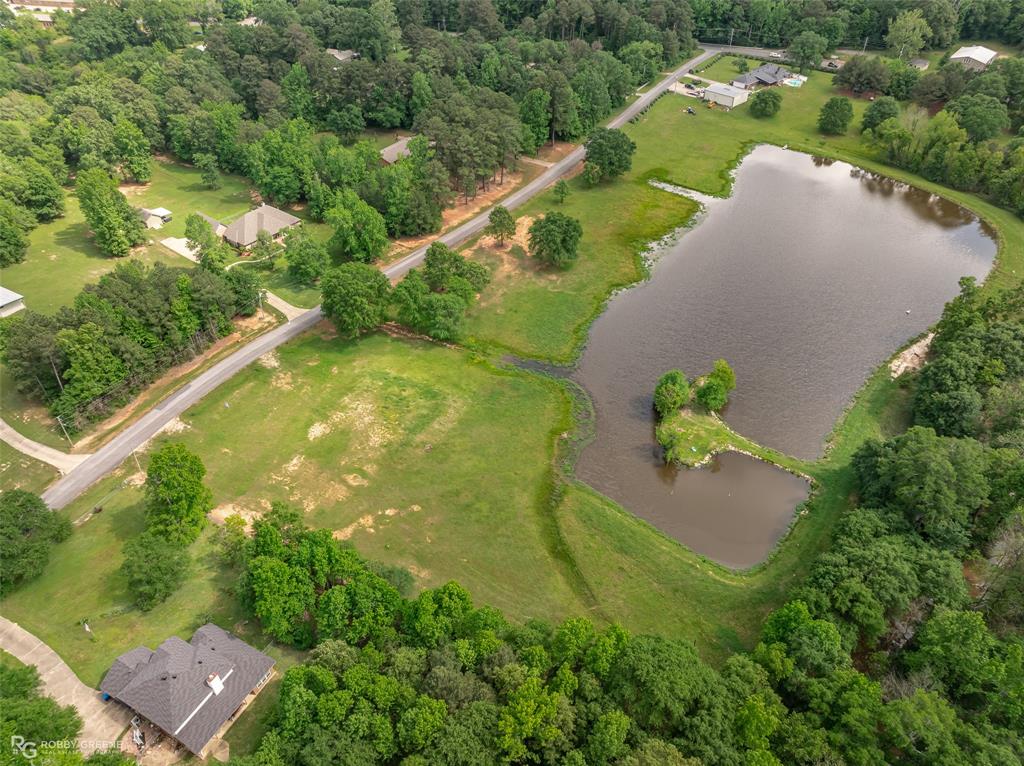 Silver Forest 01 - Land