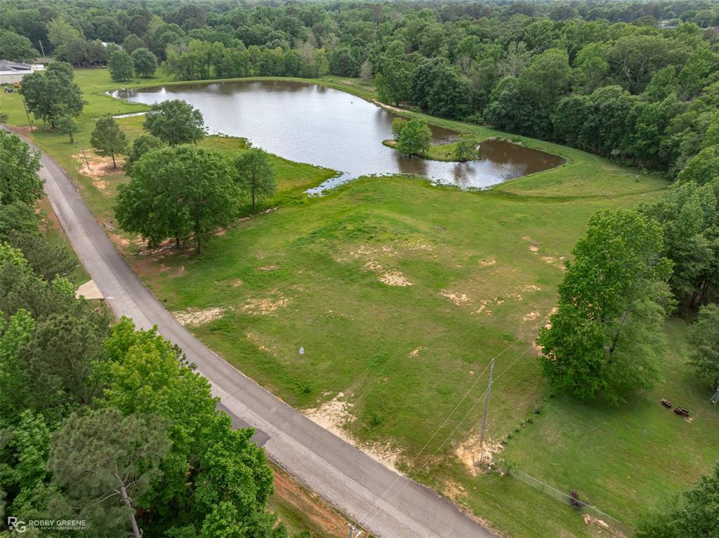 Silver Forest 01 - Land