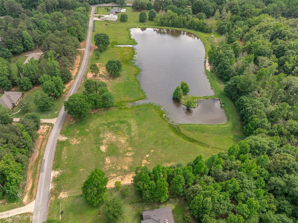 Silver Forest 01 - Land