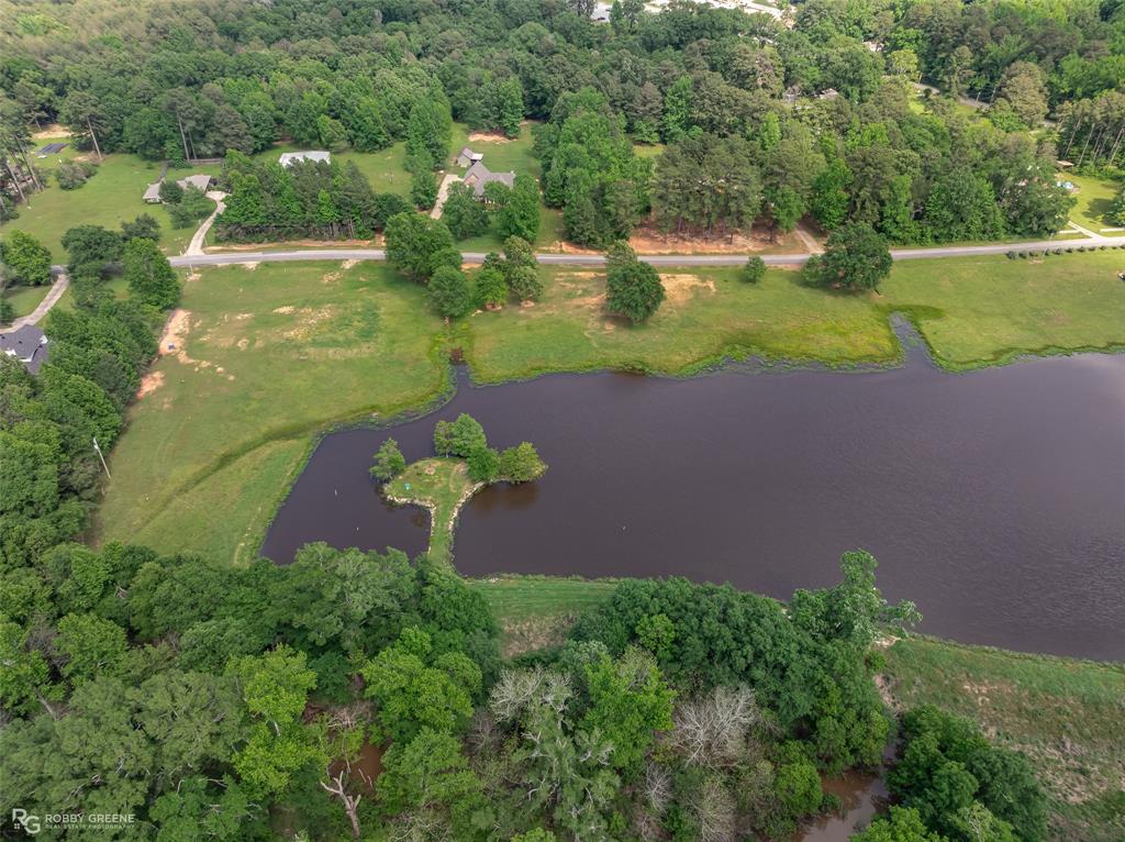 Silver Forest 01 - Land