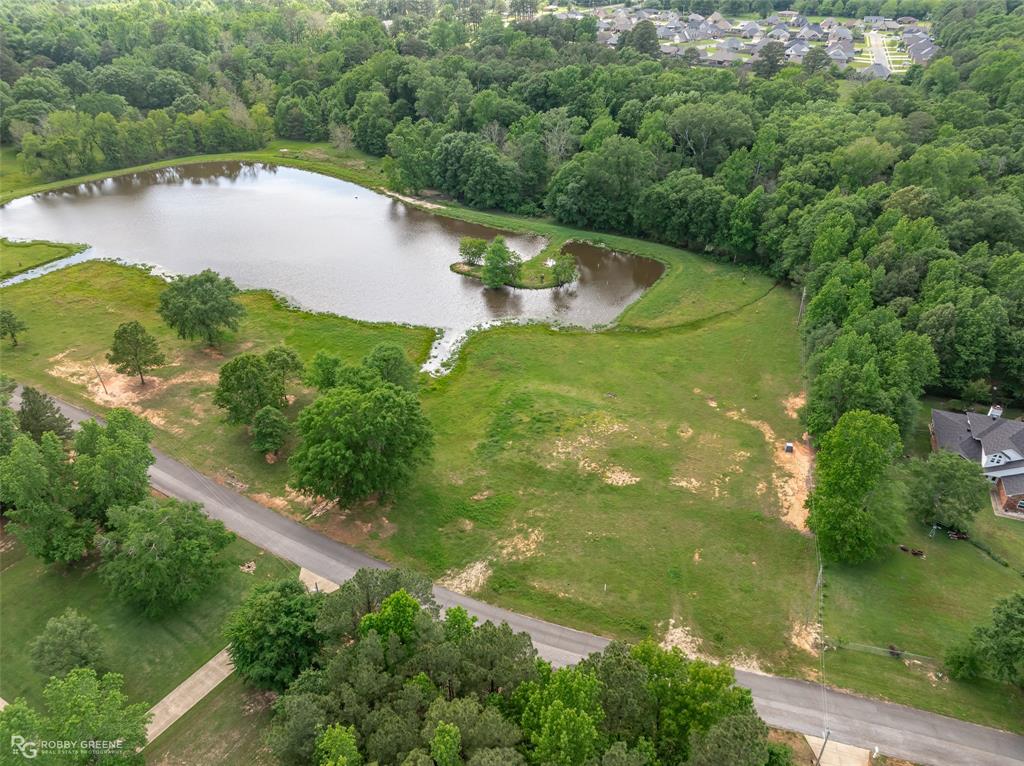 Silver Forest 01 - Land