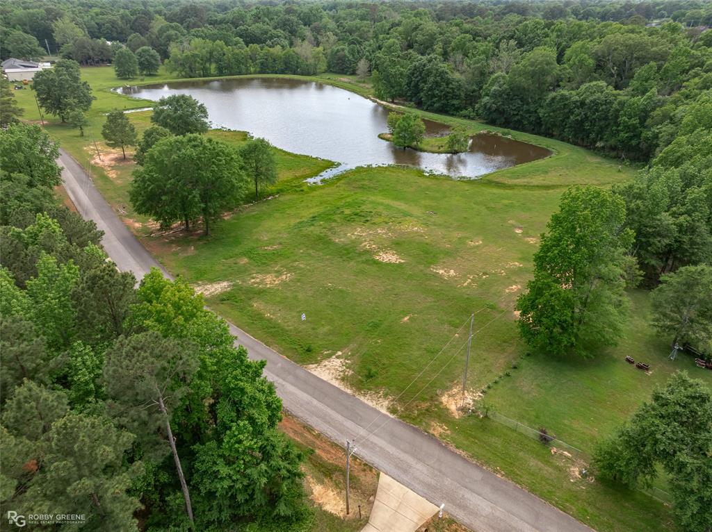 Silver Forest 01 - Land