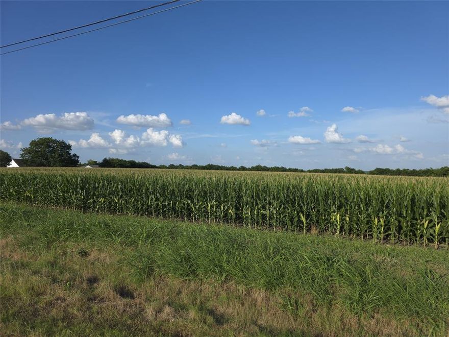 ***Investor Opportunity — Prime Subdivision Development Potential! ***
Unlock the possibilities with this exceptional acreage located near the highly anticipated luxury lagoon-style master-planned Venetian community. This property offers excellent development potential with utilities available nearby along FM 543 and sewer on aerobic septic system. Don’t miss your chance to secure a beautiful parcel in a rapidly growing area—ideal for a visionary investor or developer.