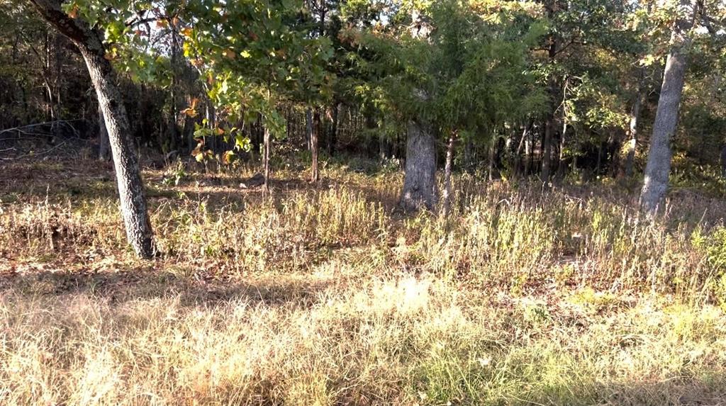 Country Club Estates - Land