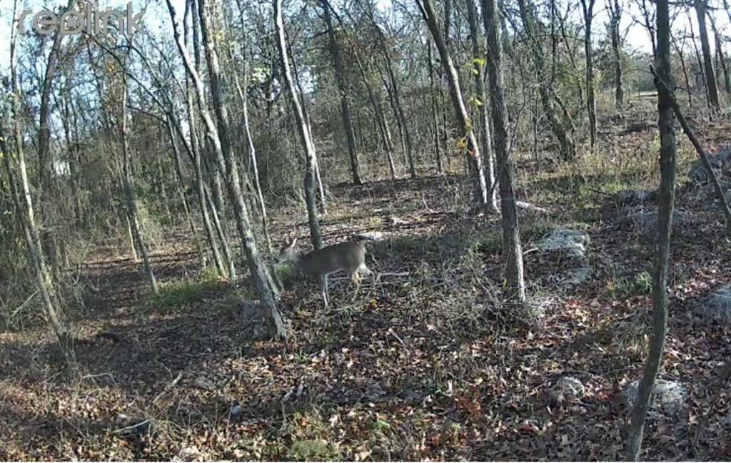 Country Club Estates - Land